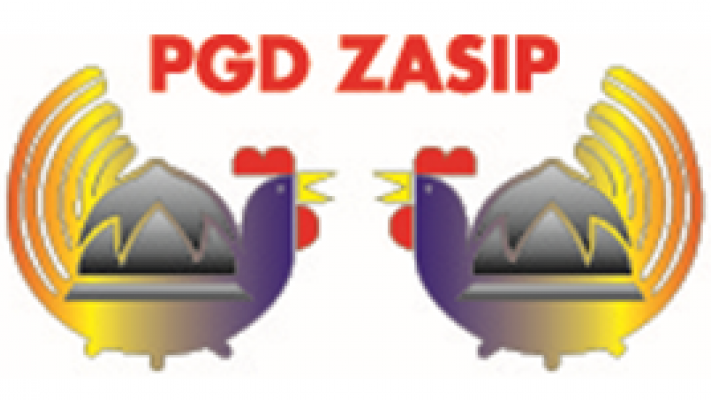 Prikaz reševalne akcije PDG Zasip