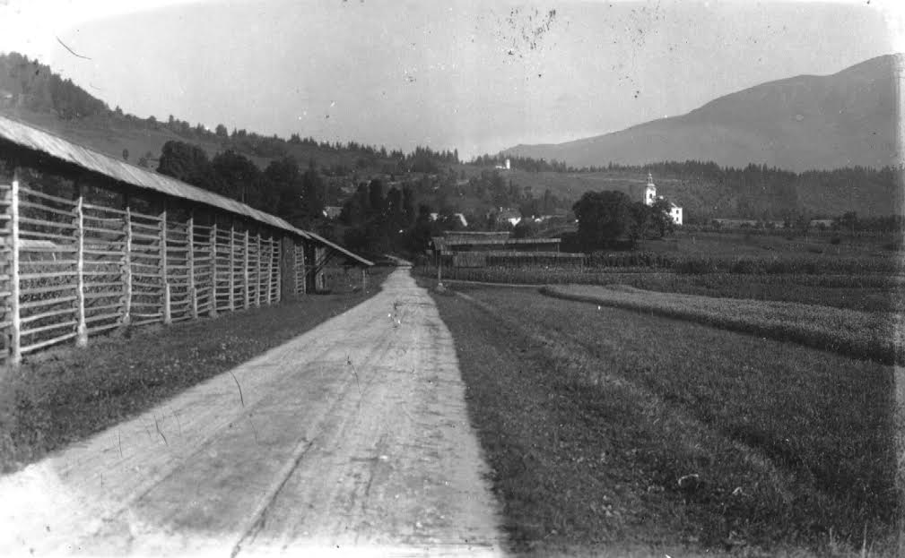 vesel1912izzbirkeSEM